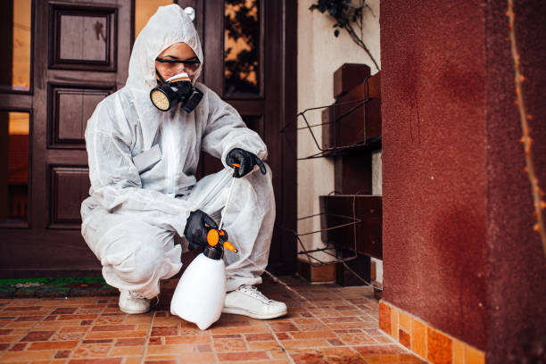 Attic and Crawl Space Rodent Treatment in Manasquan