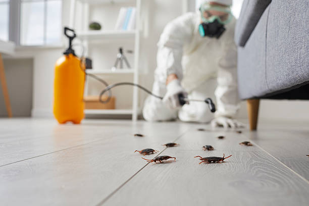 Commercial Rodent Management in Manasquan